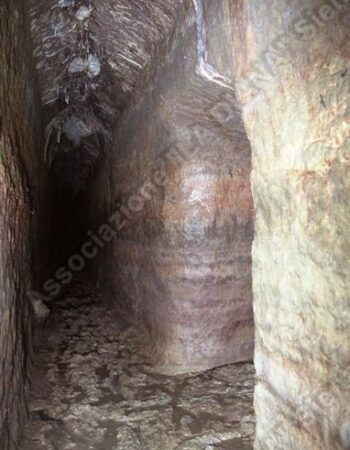 Bottino Fonte Orto Botanico prima della pulitura