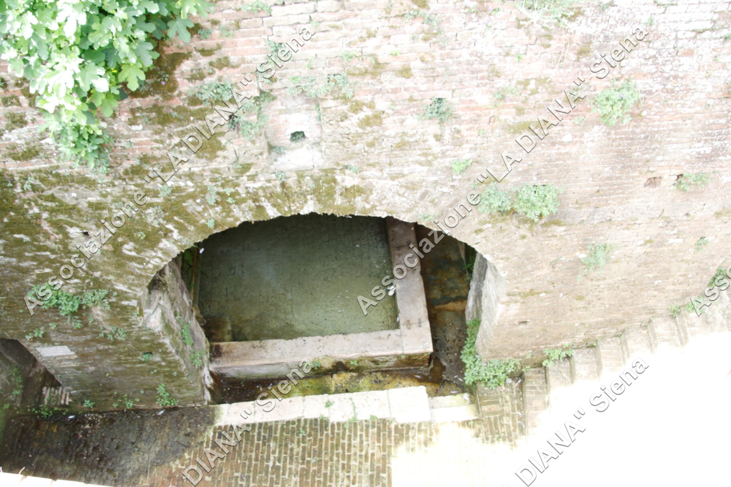 Fonte di Fontanella